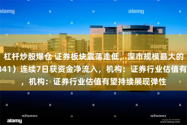 杠杆炒股爆仓 证券板块震荡走低，深市规模最大的证券ETF（159841）连续7日获资金净流入，机构：证券行业估值有望持续展现弹性