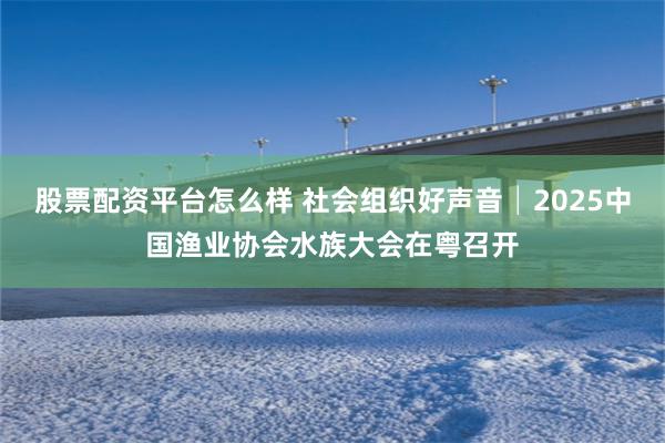股票配资平台怎么样 社会组织好声音│2025中国渔业协会水族大会在粤召开