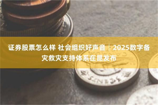 证券股票怎么样 社会组织好声音│2025数字备灾救灾支持体系在昆发布
