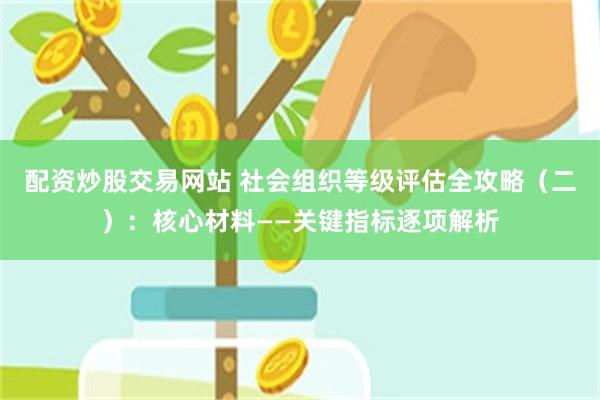 配资炒股交易网站 社会组织等级评估全攻略（二）：核心材料——关键指标逐项解析