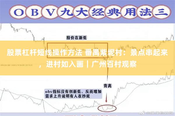 股票杠杆短线操作方法 番禺紫坭村：景点串起来，进村如入画｜广州百村观察