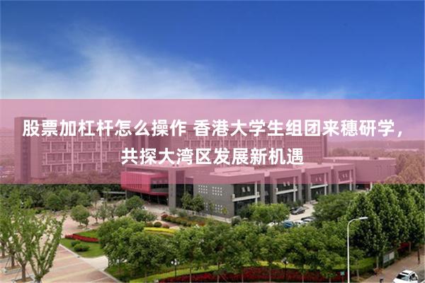 股票加杠杆怎么操作 香港大学生组团来穗研学，共探大湾区发展新机遇