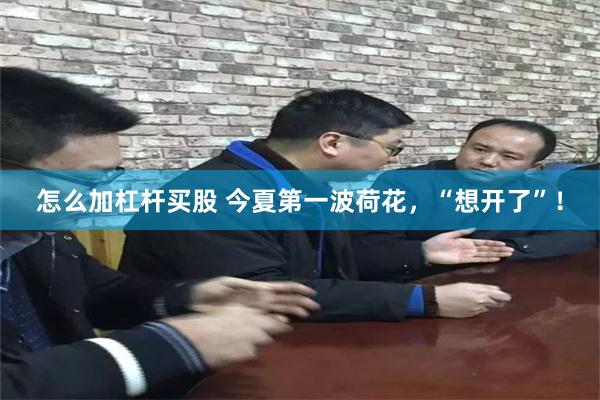 怎么加杠杆买股 今夏第一波荷花，“想开了”！