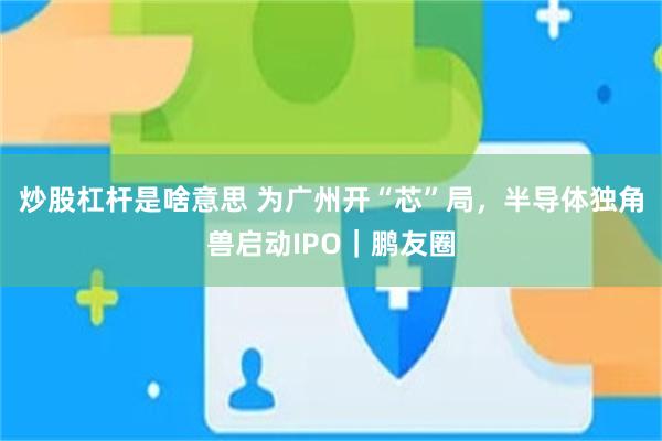 炒股杠杆是啥意思 为广州开“芯”局，半导体独角兽启动IPO｜鹏友圈