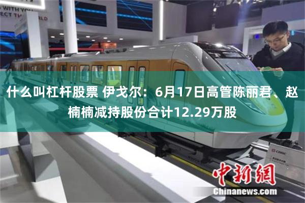 什么叫杠杆股票 伊戈尔：6月17日高管陈丽君、赵楠楠减持股份合计12.29万股