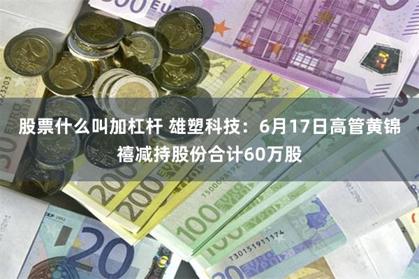 股票什么叫加杠杆 雄塑科技：6月17日高管黄锦禧减持股份合计60万股
