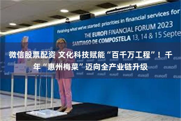 微信股票配资 文化科技赋能“百千万工程”！千年“惠州梅菜”迈向全产业链升级