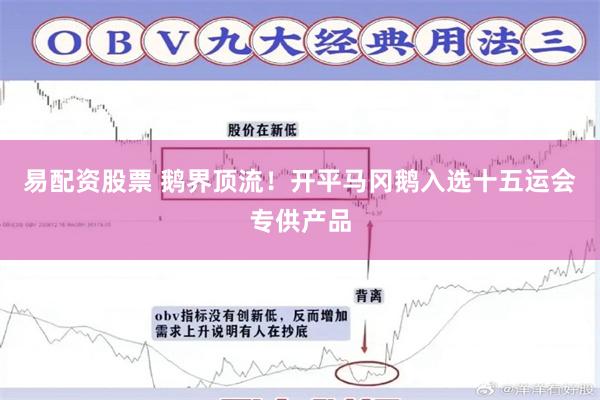 易配资股票 鹅界顶流！开平马冈鹅入选十五运会专供产品