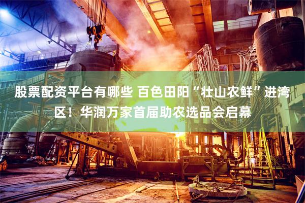 股票配资平台有哪些 百色田阳“壮山农鲜”进湾区！华润万家首届助农选品会启幕