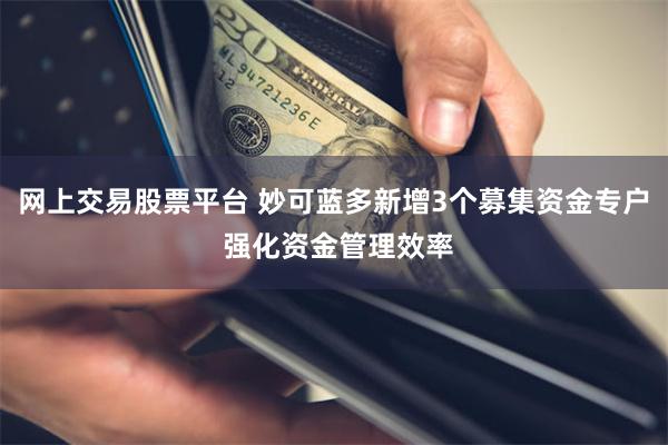 网上交易股票平台 妙可蓝多新增3个募集资金专户 强化资金管理效率