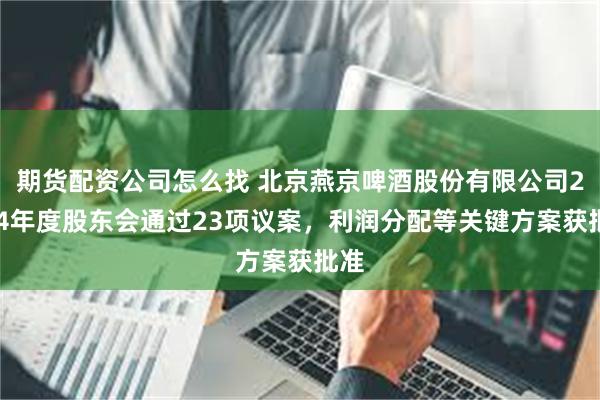 期货配资公司怎么找 北京燕京啤酒股份有限公司2024年度股东会通过23项议案，利润分配等关键方案获批准