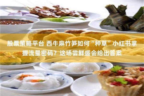 股票策略平台 西牛麻竹笋如何“种草”小红书掌握流量密码？这场尝鲜盛会给出答案