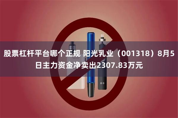 股票杠杆平台哪个正规 阳光乳业（001318）8月5日主力资金净卖出2307.83万元