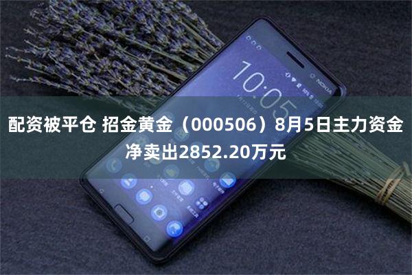配资被平仓 招金黄金（000506）8月5日主力资金净卖出2852.20万元