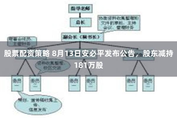 股票配资策略 8月13日安必平发布公告，股东减持181万股