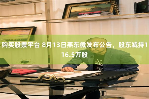 购买股票平台 8月13日燕东微发布公告，股东减持116.5万股