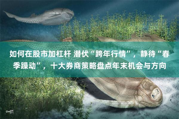 如何在股市加杠杆 潜伏“跨年行情”，静待“春季躁动”，十大券商策略盘点年末机会与方向