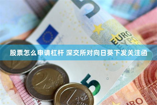 股票怎么申请杠杆 深交所对向日葵下发关注函
