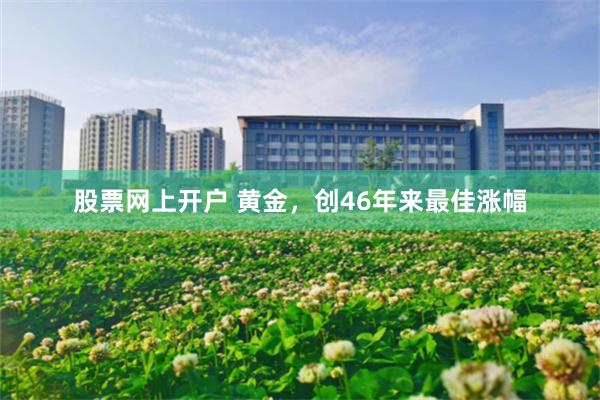 股票网上开户 黄金，创46年来最佳涨幅