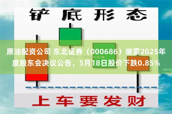 原油配资公司 东北证券（000686）披露2025年度股东会决议公告，5月18日股价下跌0.85%