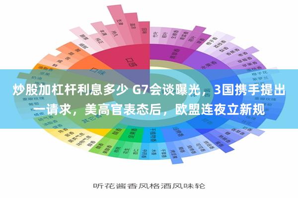 炒股加杠杆利息多少 G7会谈曝光，3国携手提出一请求，美高官表态后，欧盟连夜立新规