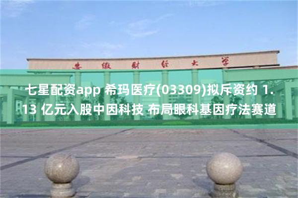 七星配资app 希玛医疗(03309)拟斥资约 1.13 亿元入股中因科技 布局眼科基因疗法赛道