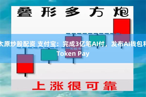 太原炒股配资 支付宝：完成3亿笔AI付，发布AI钱包和Token Pay
