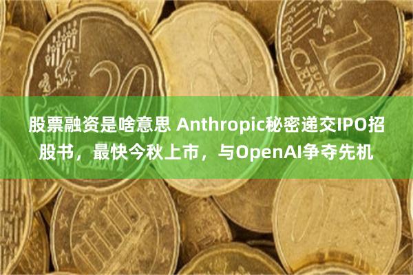 股票融资是啥意思 Anthropic秘密递交IPO招股书，最快今秋上市，与OpenAI争夺先机