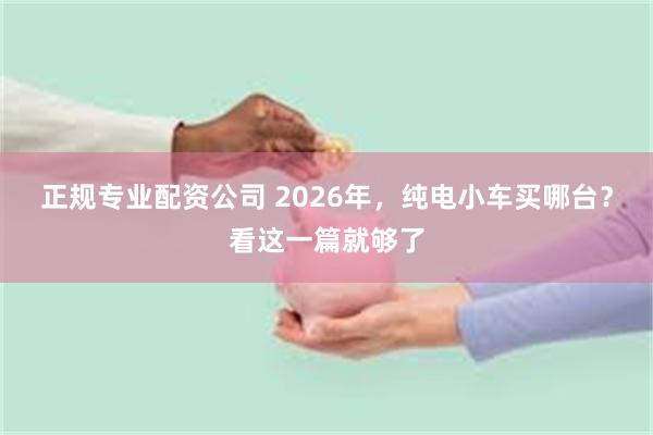 正规专业配资公司 2026年，纯电小车买哪台？看这一篇就够了
