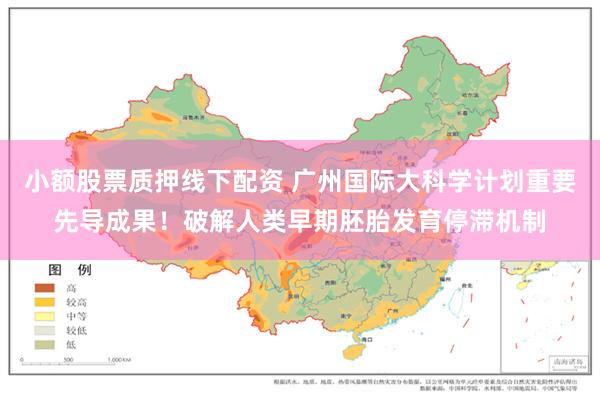 小额股票质押线下配资 广州国际大科学计划重要先导成果！破解人类早期胚胎发育停滞机制