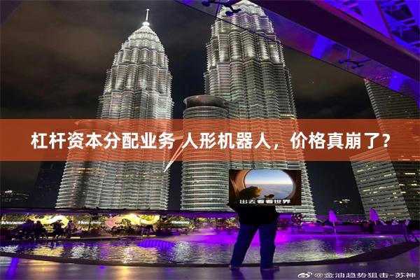杠杆资本分配业务 人形机器人，价格真崩了？