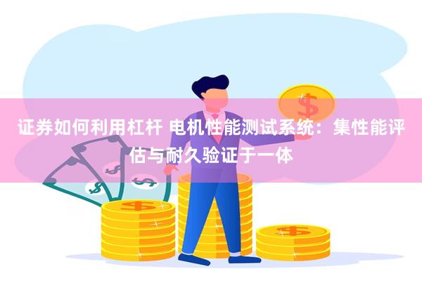 证券如何利用杠杆 电机性能测试系统：集性能评估与耐久验证于一体
