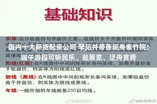 国内十大期货配资公司 罕见并蒂莲现身紫竹院！端午游园可听民乐、逛展览、泛舟赏荷