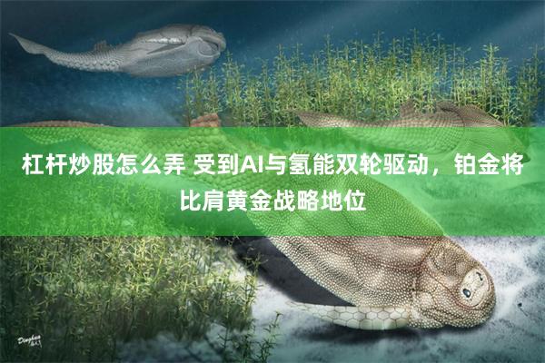 杠杆炒股怎么弄 受到AI与氢能双轮驱动，铂金将比肩黄金战略地位