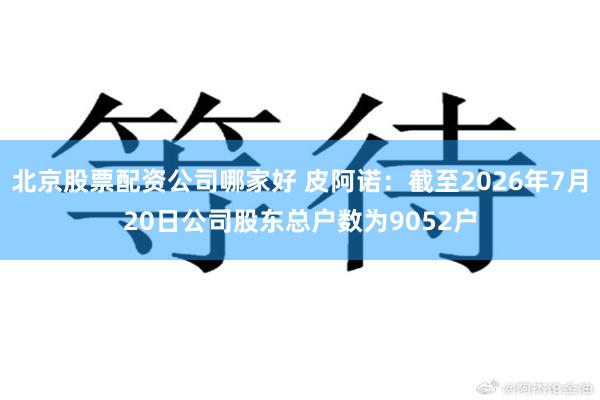 北京股票配资公司哪家好 皮阿诺：截至2026年7月20日公司股东总户数为9052户