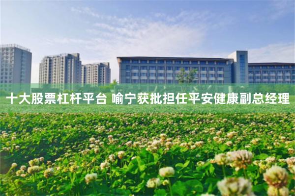 十大股票杠杆平台 喻宁获批担任平安健康副总经理