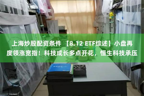 上海炒股配资条件 【8.12 ETF综述】小盘再度领涨宽指！科技成长多点开花，恒生科技承压