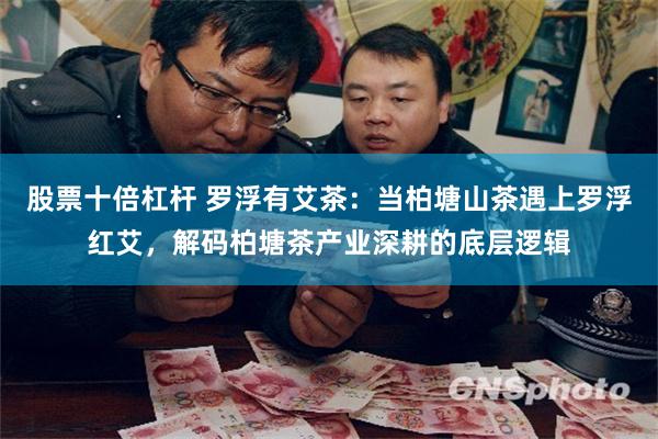 股票十倍杠杆 罗浮有艾茶：当柏塘山茶遇上罗浮红艾，解码柏塘茶产业深耕的底层逻辑