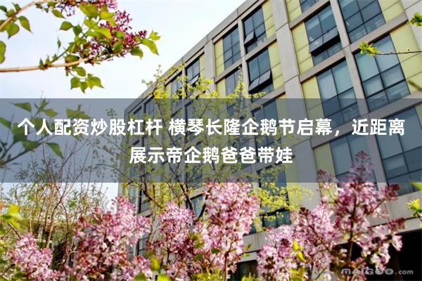 个人配资炒股杠杆 横琴长隆企鹅节启幕，近距离展示帝企鹅爸爸带娃