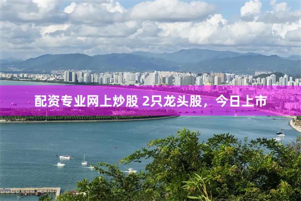 配资专业网上炒股 2只龙头股，今日上市
