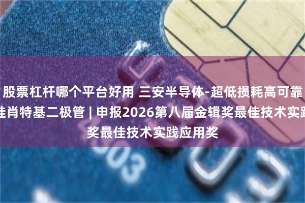 股票杠杆哪个平台好用 三安半导体-超低损耗高可靠性碳化硅肖特基二极管 | 申报2026第八届金辑奖最佳技术实践应用奖