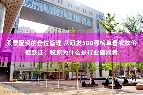 股票配资的仓位管理 从研发500强榜单看农牧价值跃迁：牧原为什么是行业破局者