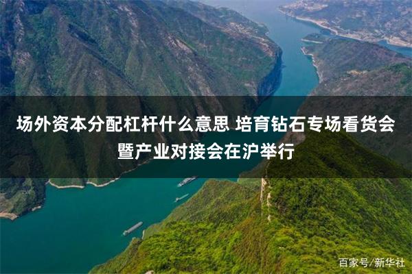 场外资本分配杠杆什么意思 培育钻石专场看货会暨产业对接会在沪举行