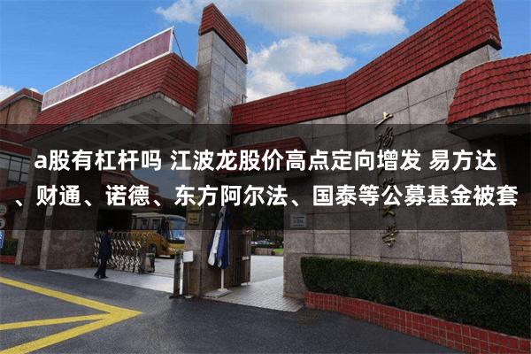 a股有杠杆吗 江波龙股价高点定向增发 易方达、财通、诺德、东方阿尔法、国泰等公募基金被套