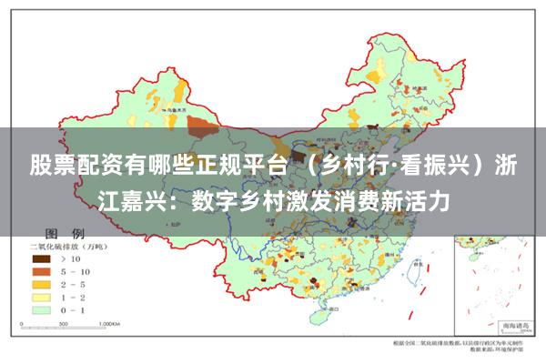 股票配资有哪些正规平台 （乡村行·看振兴）浙江嘉兴：数字乡村激发消费新活力