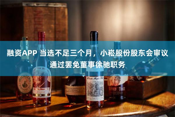 融资APP 当选不足三个月,小崧股份股东会审议通过罢免董事徐驰职务
