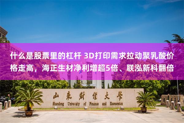 什么是股票里的杠杆 3D打印需求拉动聚乳酸价格走高，海正生材净利增超5倍、联泓新科翻倍