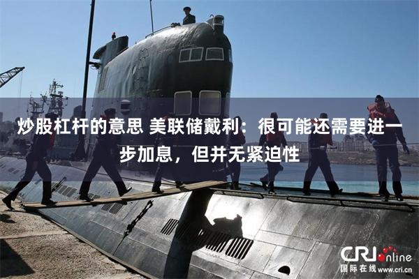 炒股杠杆的意思 美联储戴利：很可能还需要进一步加息，但并无紧迫性