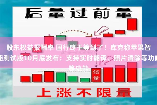 股东权益报酬率 国行终于等到了！库克称苹果智能测试版10月底发布：支持实时翻译、照片清除等功能