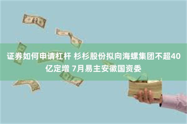 证券如何申请杠杆 杉杉股份拟向海螺集团不超40亿定增 7月易主安徽国资委